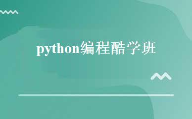 广东小学辅导哪家好,多少钱_python编程酷学班 _深圳乐博乐博机器人教育