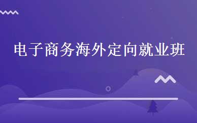 电子商务海外定向就业班 