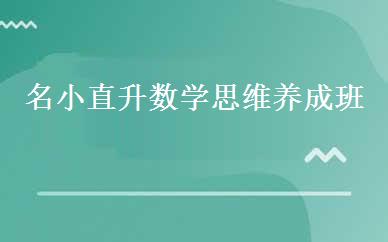 名小直升数学思维养成班 