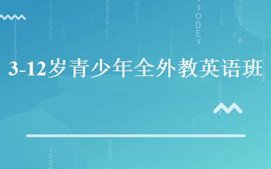 3-12岁青少年全外教英语班 