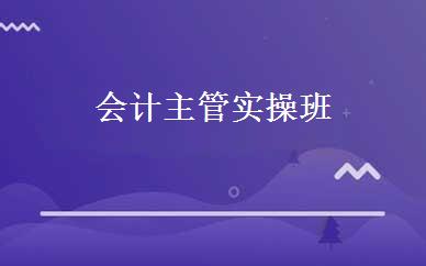 会计主管实操班  