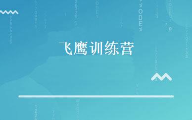 飞鹰训练营 