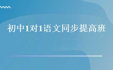 初中1对1语文同步提高班 