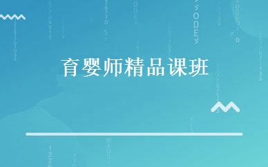 育婴师精品课班 