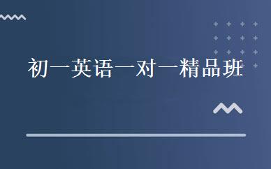 初一英语一对一精品班 