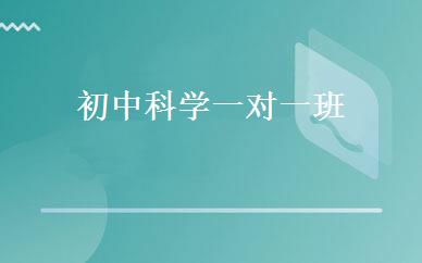 初中科学一对一班 