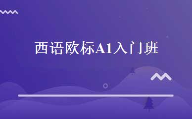西语欧标A1入门班 