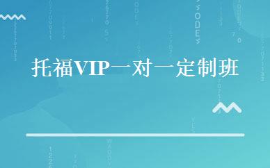 托福VIP一对一定制班 