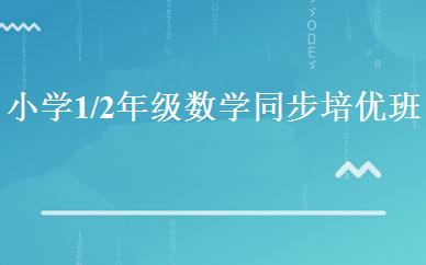 小学1/2年级数学同步培优班 