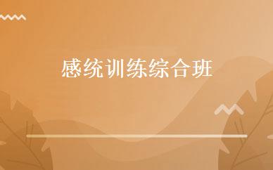 感统训练综合班 