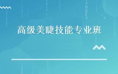 高级美睫技能专业班 