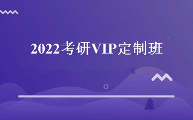 2022考研VIP定制班 