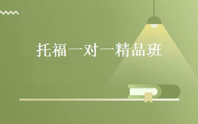 托福一对一精品班 