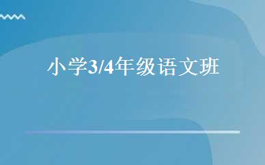 小学3/4年级语文班