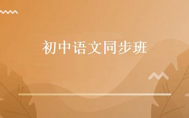 初中语文同步班 