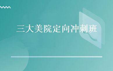 三大美院定向冲刺班 