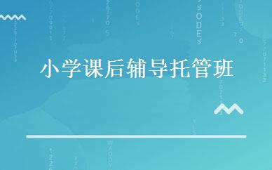 小学课后辅导托管班 