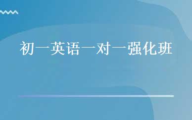 初一英语一对一强化班