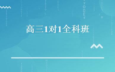  高三1对1全科班 