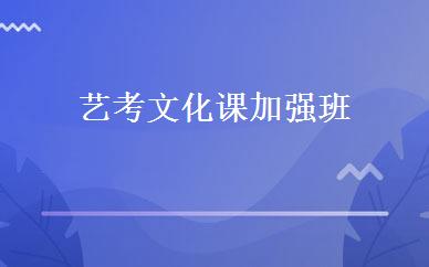 艺考文化课加强班 