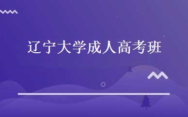 辽宁大学成人高考班 