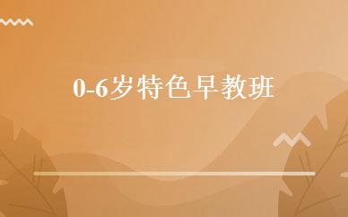 0-6岁特色早教班 