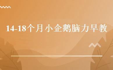 14-18个月小企鹅脑力早教班 