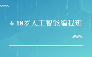 6-18岁人工智能编程班 