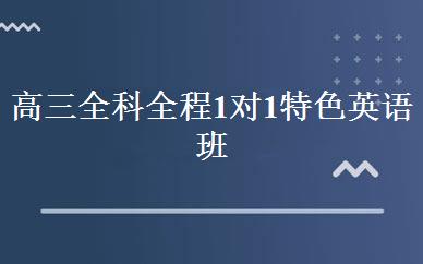 高三全科全程1对1特色英语班 