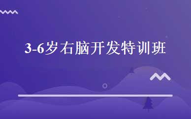 3-6岁右脑开发特训班 