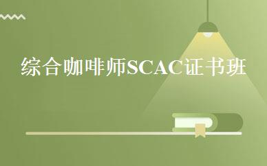 综合咖啡师SCAC证书班 
