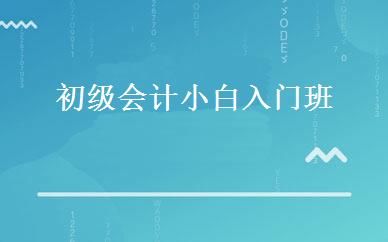 初级会计小白入门班 