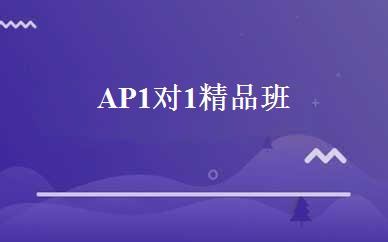 AP1对1精品班 