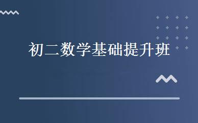 初二数学基础提升班 