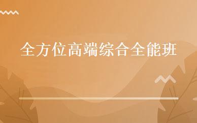全方位高端综合全能班 