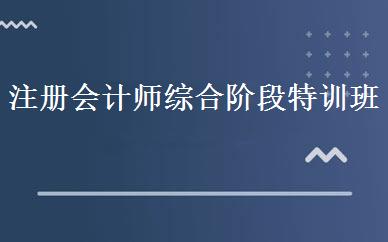 注册会计师综合阶段特训班 