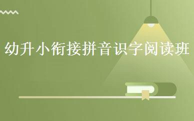 幼升小衔接拼音识字阅读班 