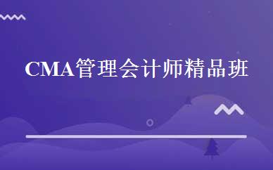 CMA管理会计师精品班 