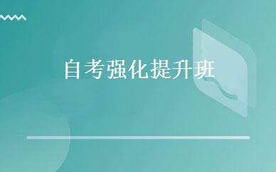 自考强化提升班 