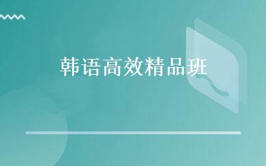 韩语高效精品班 