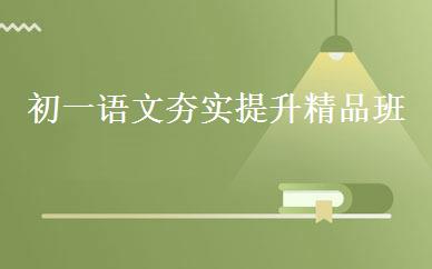初一语文夯实提升精品班 