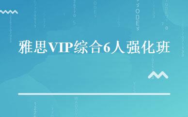 雅思VIP综合6人强化班 
