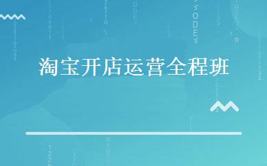 淘宝开店运营全程班 