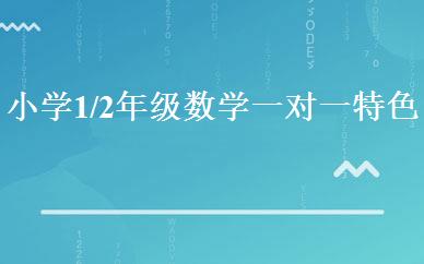 小学1/2年级数学一对一特色精品班 