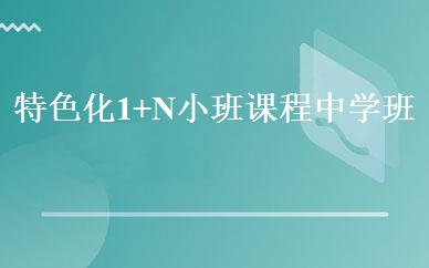 特色化1+N小班课程中学班 