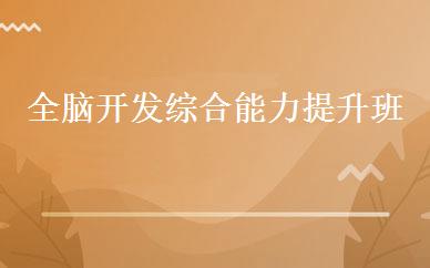 全脑开发综合能力提升班 