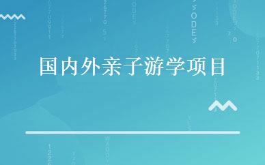 国内外亲子游学项目 