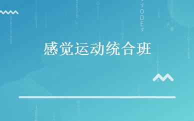 感觉运动统合班 