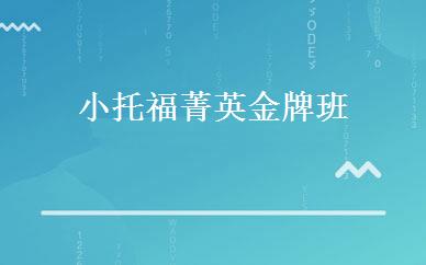 湖北英语培训哪家好,多少钱_小托福菁英金牌班 _武汉赛拓昂斯教育
