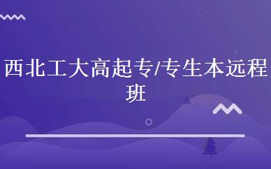 西北工大高起专/专生本远程班 